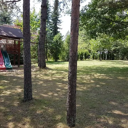 Breza Zlatibor
