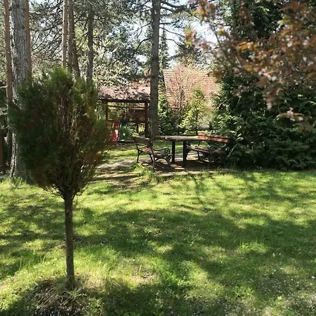 Breza Zlatibor