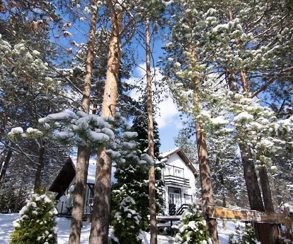 Breza Lejlighed Zlatibor